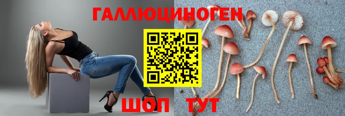 Галлюциногенные грибы прущие грибы Дальнереченск